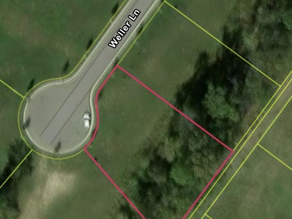 8761 Weller Ln, College Grove, TN 37046