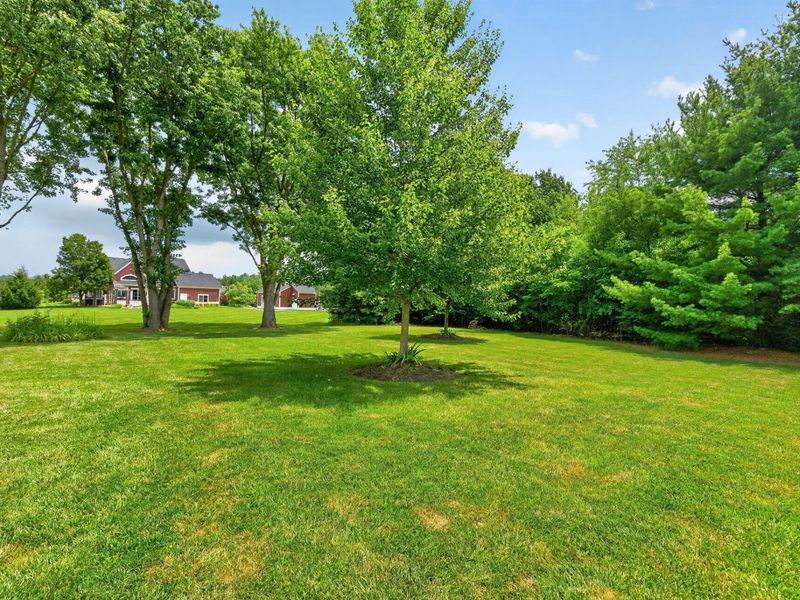 6565 Duffy Road, Delaware, OH 43015 Photo 64