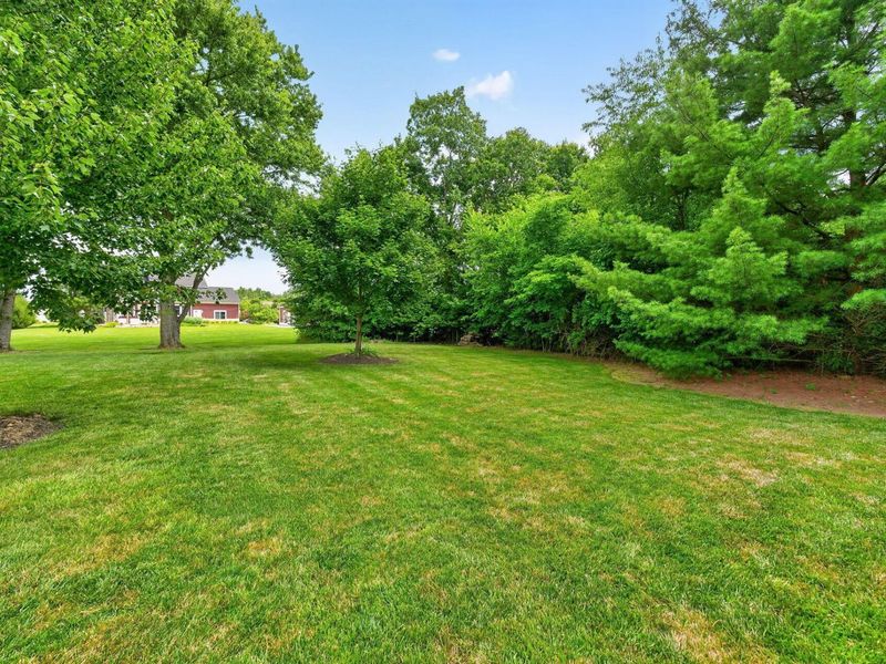 6565 Duffy Road, Delaware, OH 43015 Photo 66