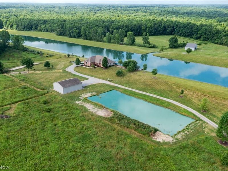 3965 Nelson Mosier Road, Leavittsburg, OH 44430 Photo 6