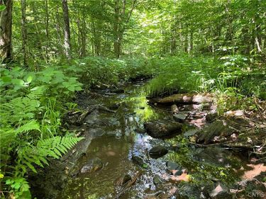 E of Town Line Road, Lorraine, NY 13659
