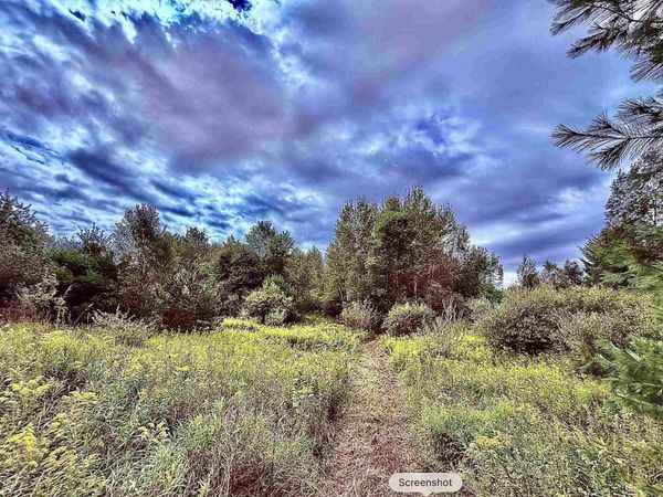 694 M-113 W, Kingsley, MI 49649