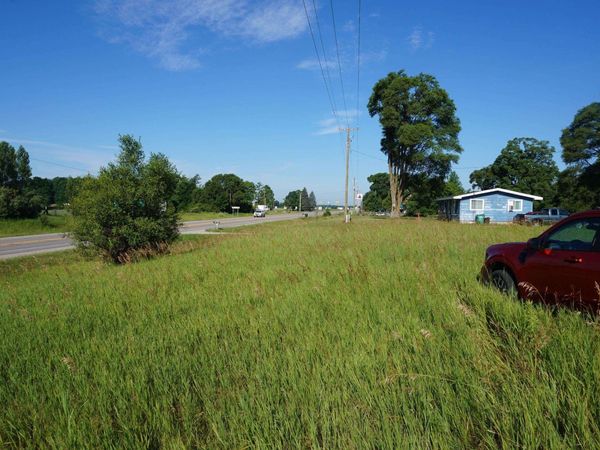 Tawas Road, Hale, MI 48739