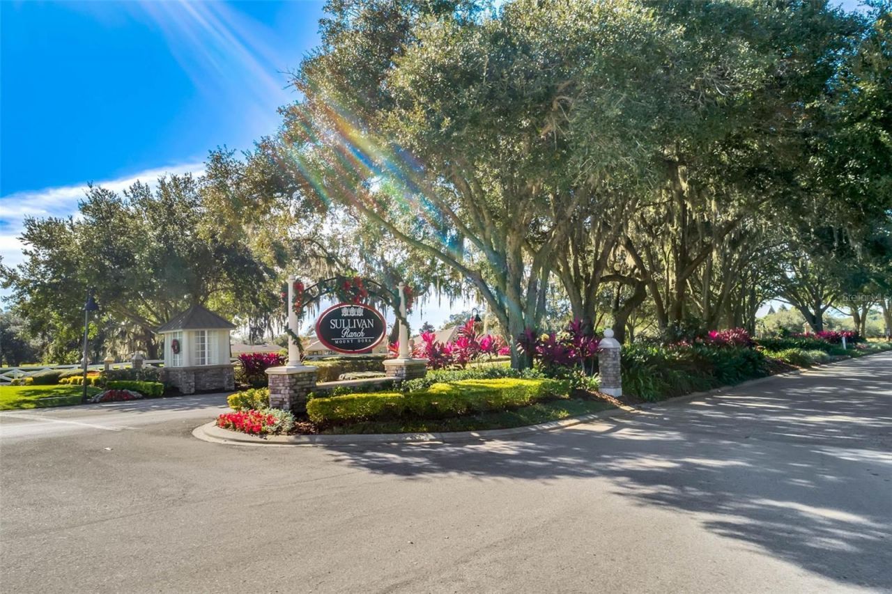 30148 Jutland Court , Mount Dora, FL 32757 Photo