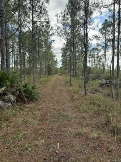 Tbd , Frostproof, FL 33843 Photo