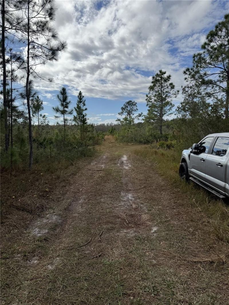 Tbd , Frostproof, FL 33843 Photo