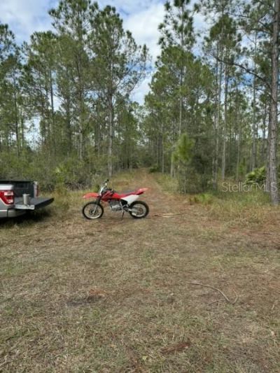 Tbd , Frostproof, FL 33843 Photo