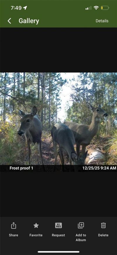Tbd , Frostproof, FL 33843 Photo