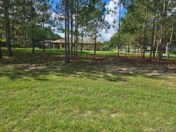 2590 N BRENTWOOD CIRCLE , LECANTO, FL 34461