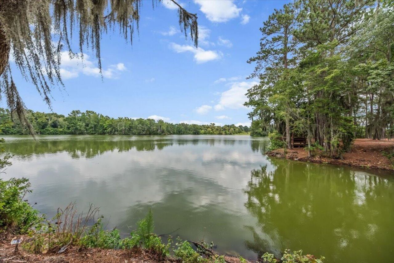 204 Garden Lily Lane Photo 51
