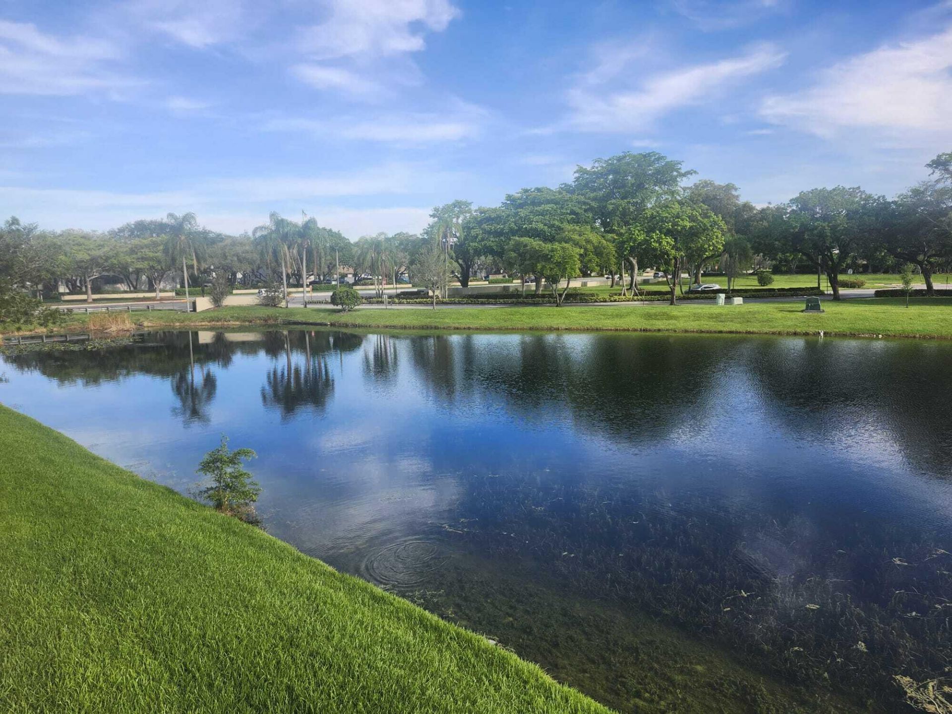 3905 N Nob Hill Road, Unit 206, Sunrise, FL 33351 Photo
