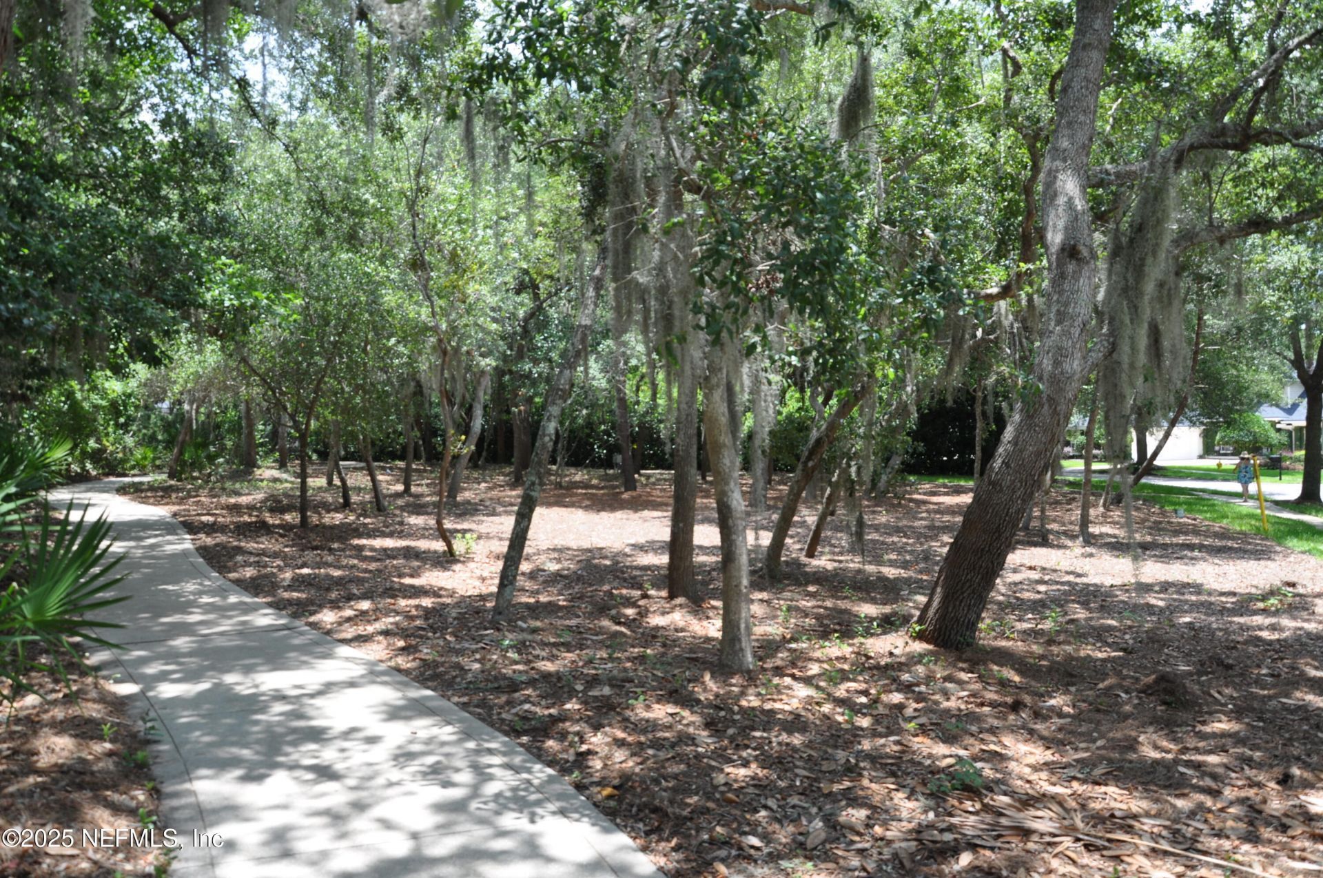 649 Treehouse Circle, Saint Augustine, FL 32095 Photo