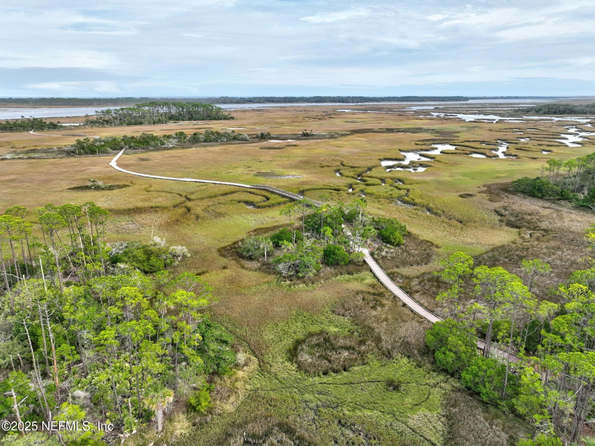 649 Treehouse Circle, Saint Augustine, FL 32095 Photo