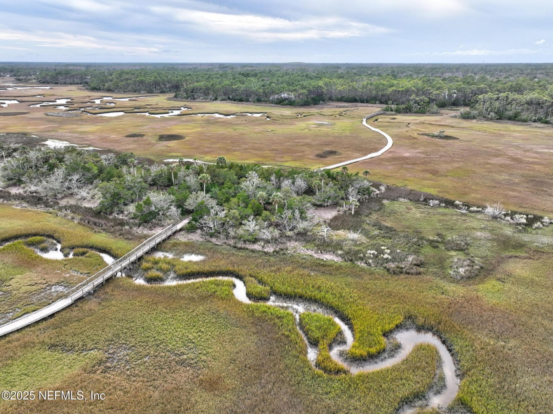 649 Treehouse Circle, Saint Augustine, FL 32095 Photo