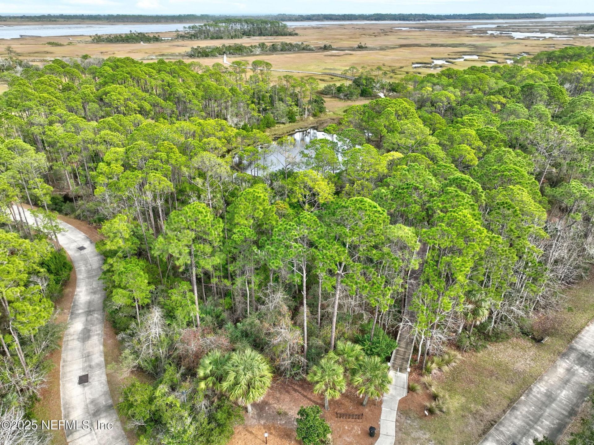 649 Treehouse Circle, Saint Augustine, FL 32095 Photo