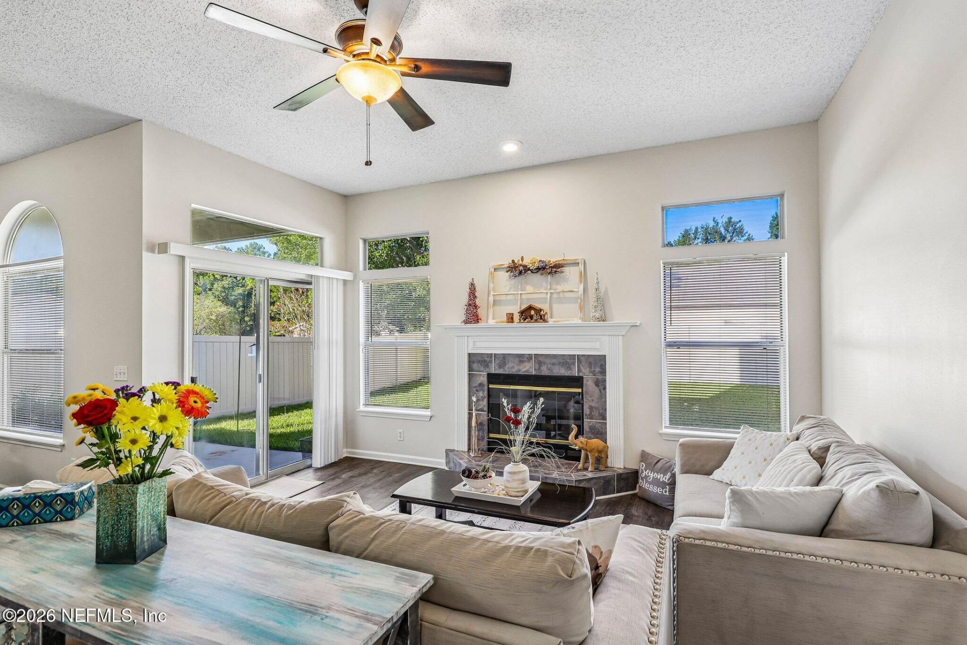 700 Scarlet View Court, Orange Park, FL 32073 Photo