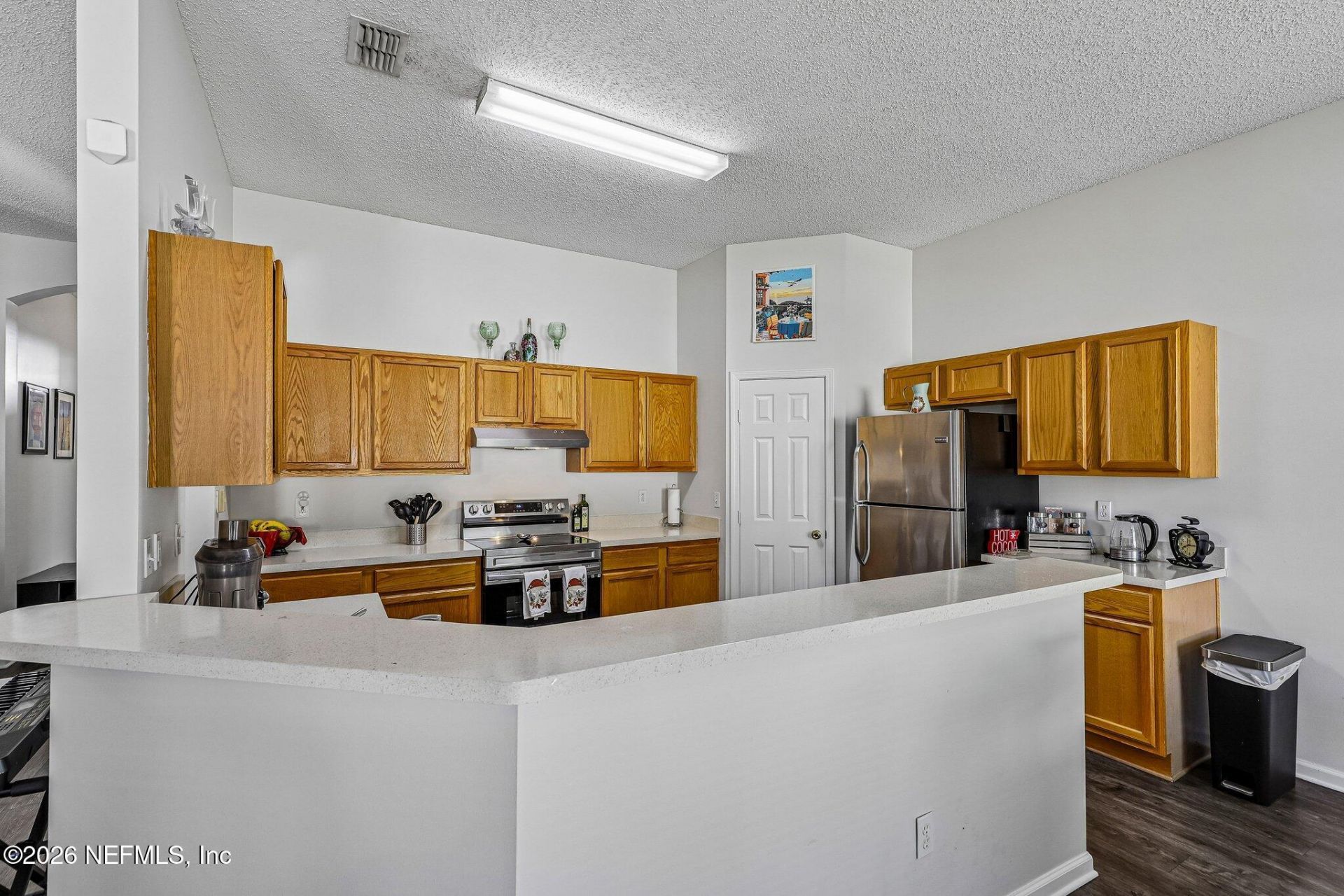 700 Scarlet View Court, Orange Park, FL 32073 Photo