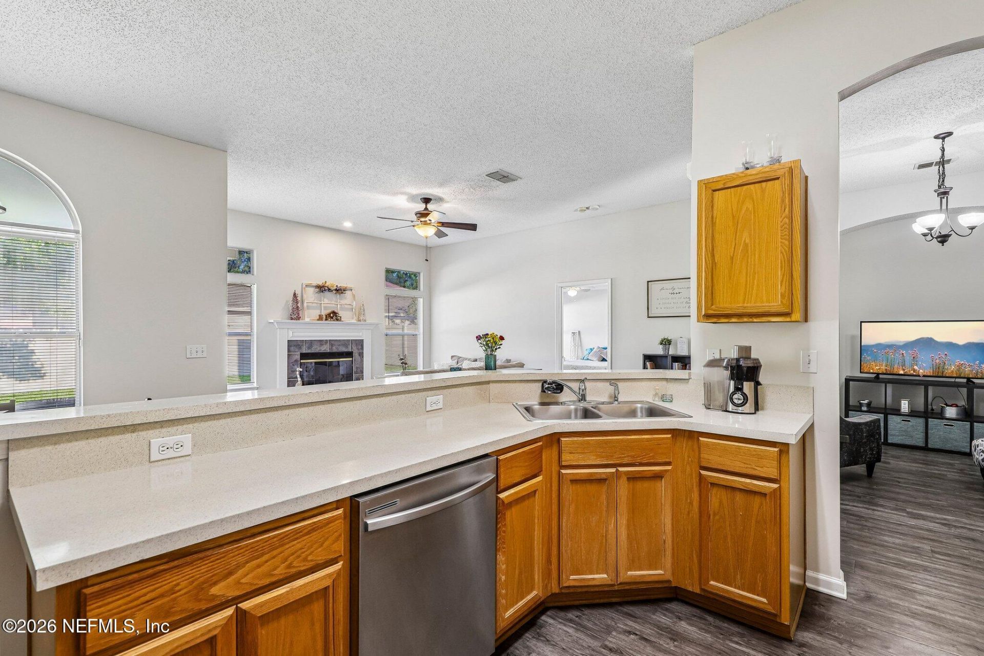 700 Scarlet View Court, Orange Park, FL 32073 Photo