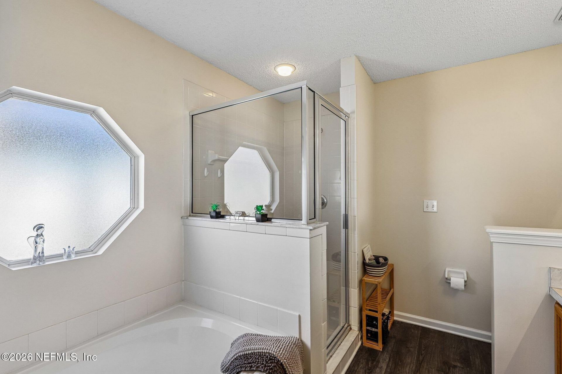 700 Scarlet View Court, Orange Park, FL 32073 Photo