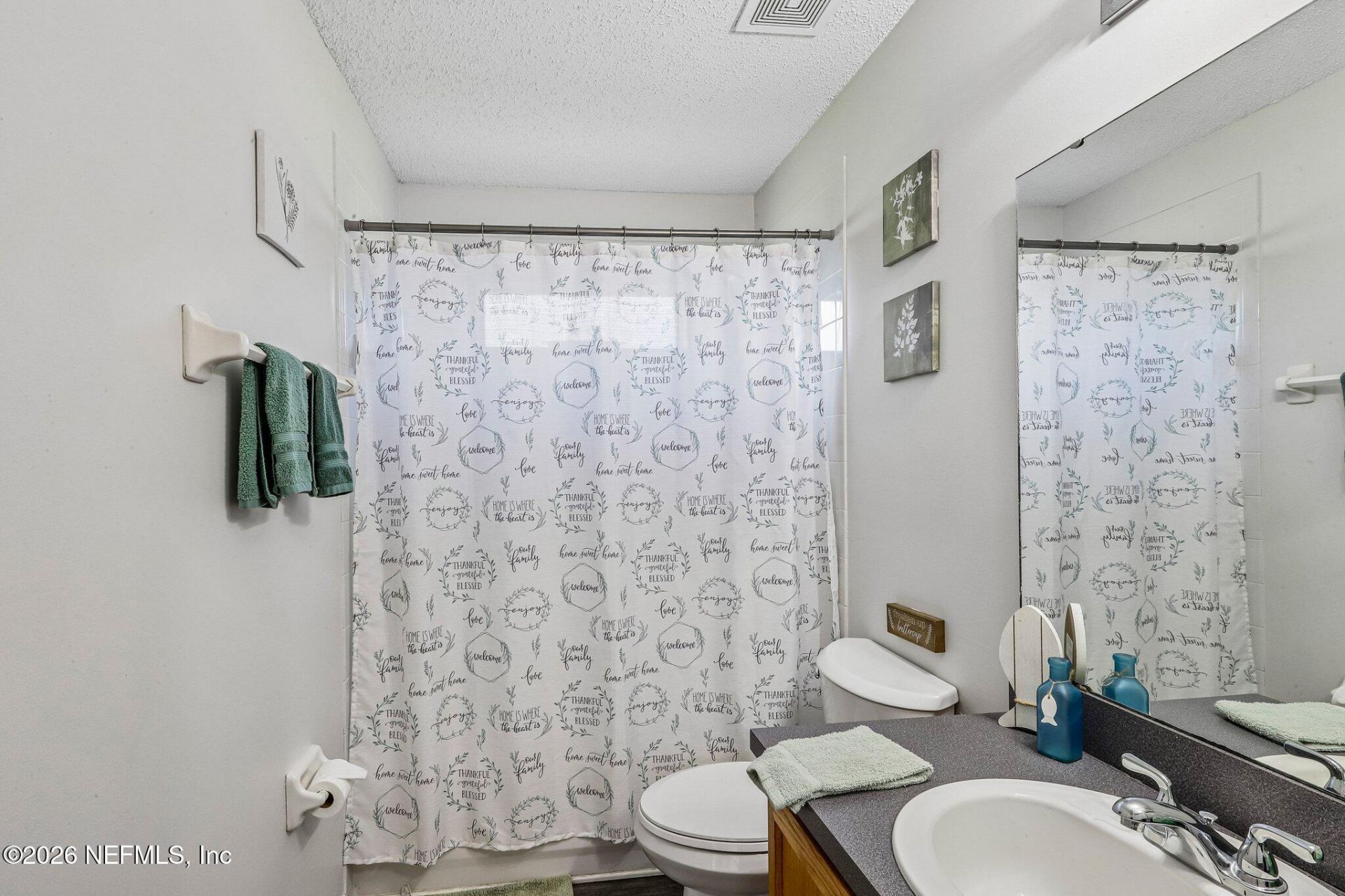 700 Scarlet View Court, Orange Park, FL 32073 Photo