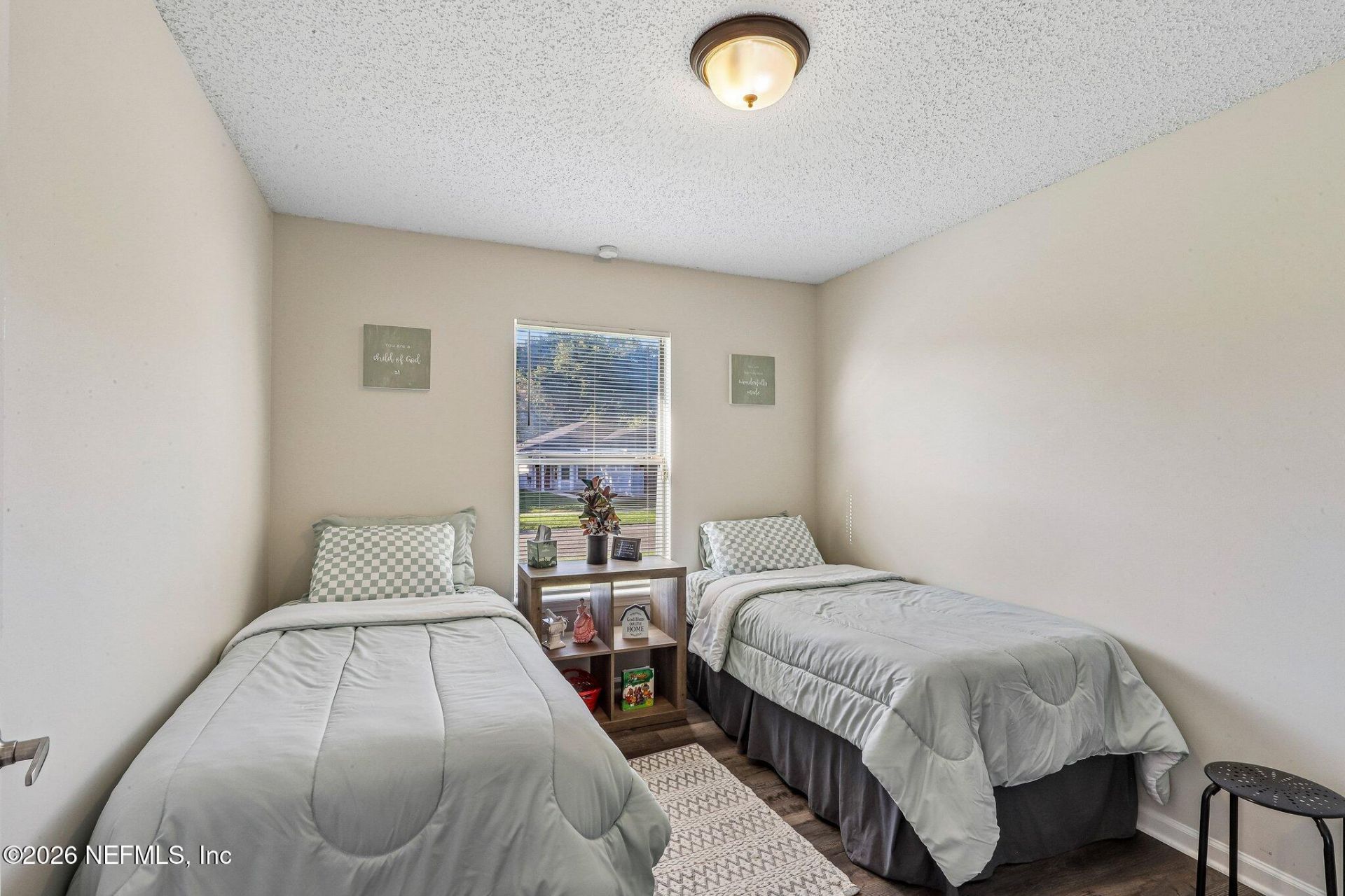 700 Scarlet View Court, Orange Park, FL 32073 Photo