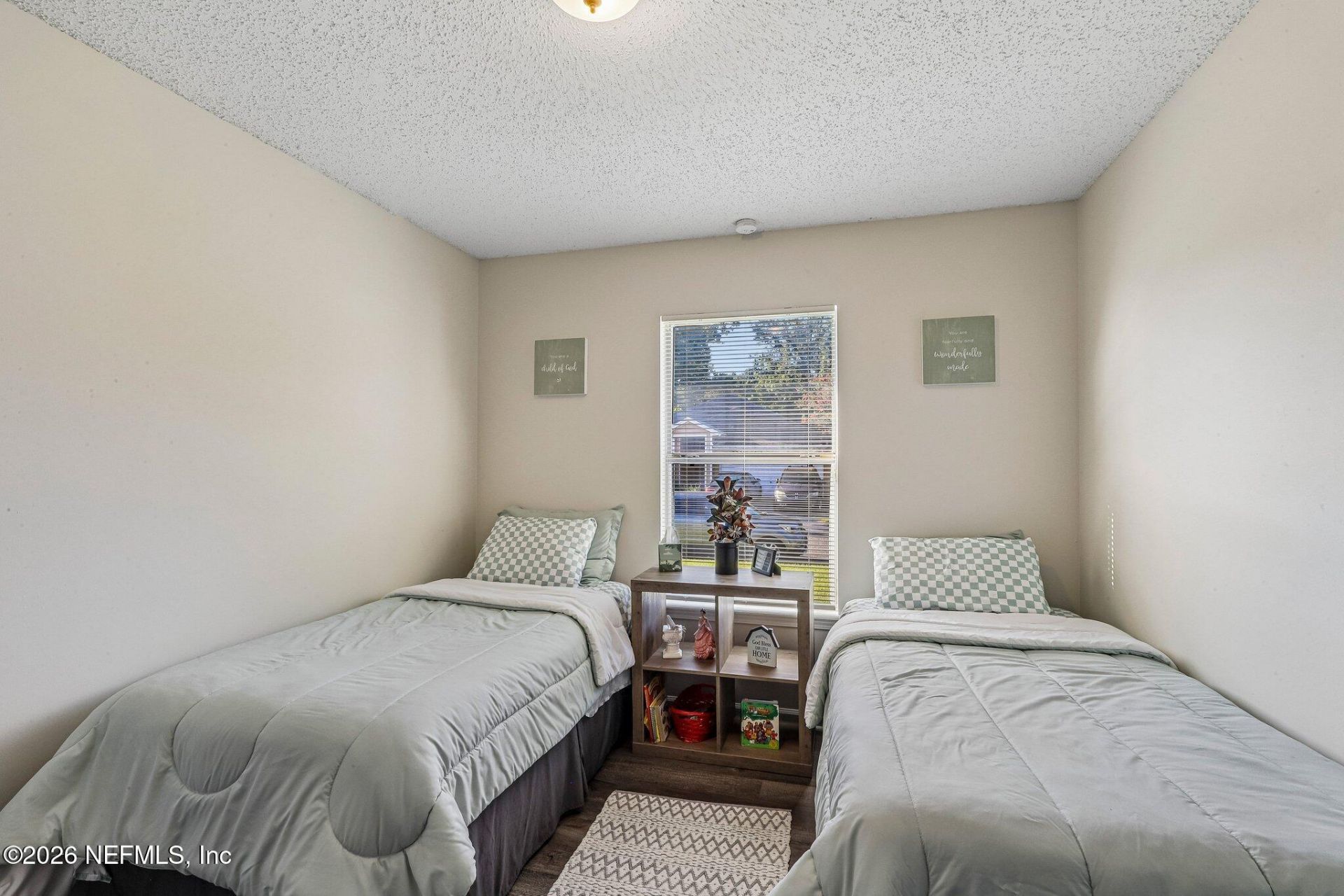 700 Scarlet View Court, Orange Park, FL 32073 Photo