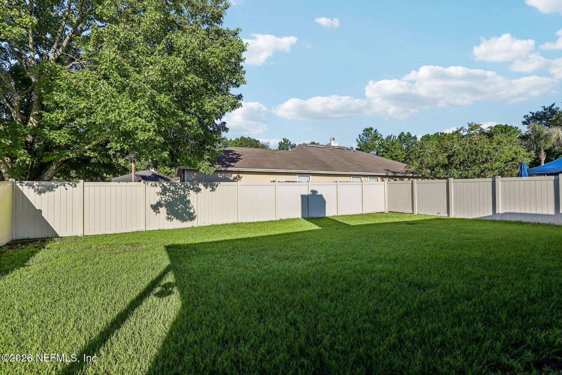 700 Scarlet View Court, Orange Park, FL 32073 Photo