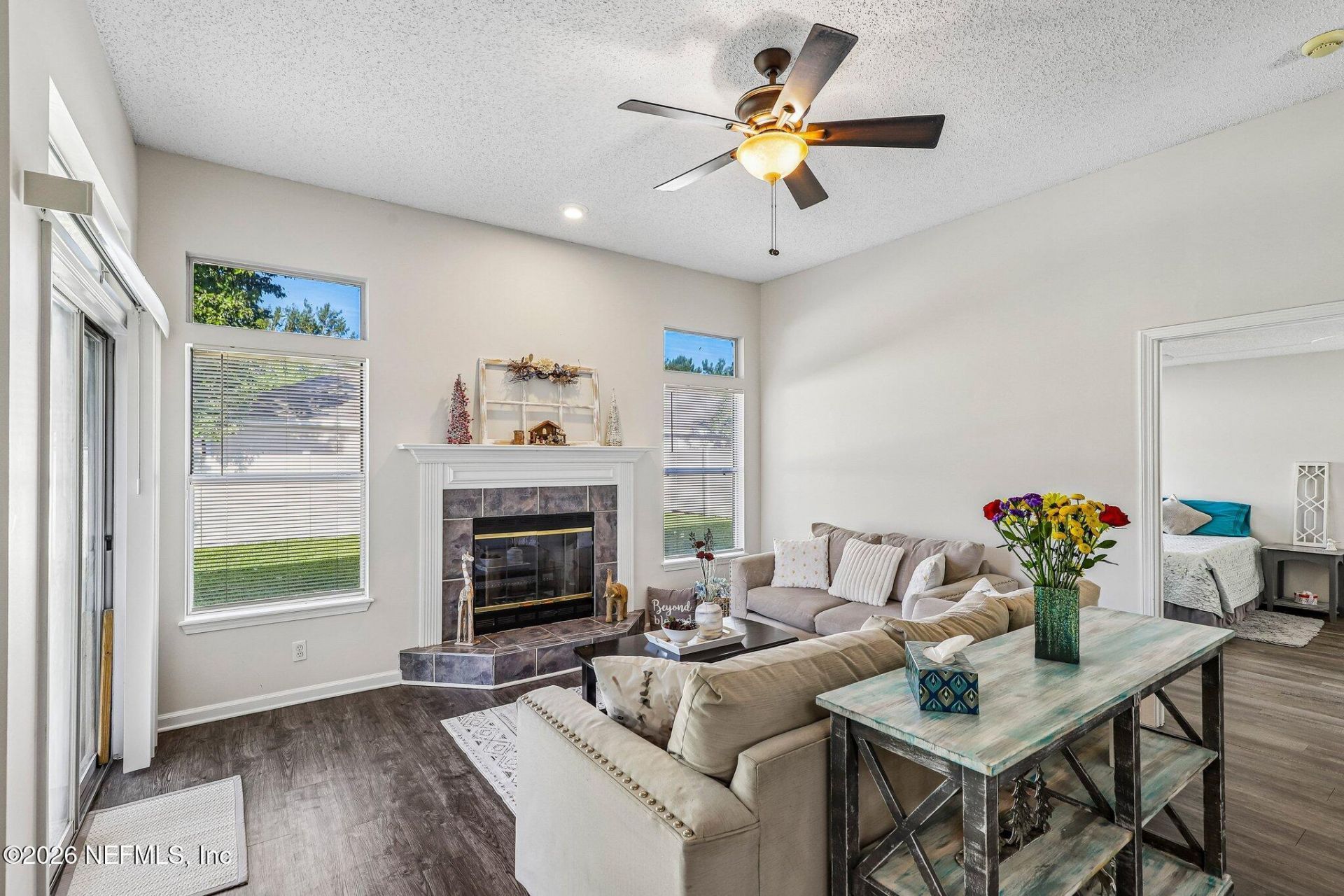 700 Scarlet View Court, Orange Park, FL 32073 Photo