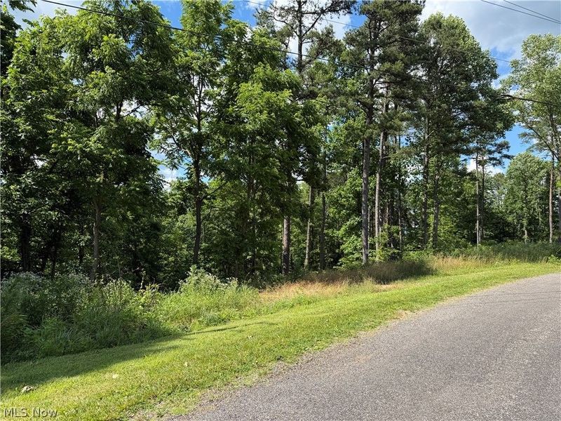 0 Fisher Ridge Rd, Tract 1 Road , Fleming, OH 45729 Photo 1