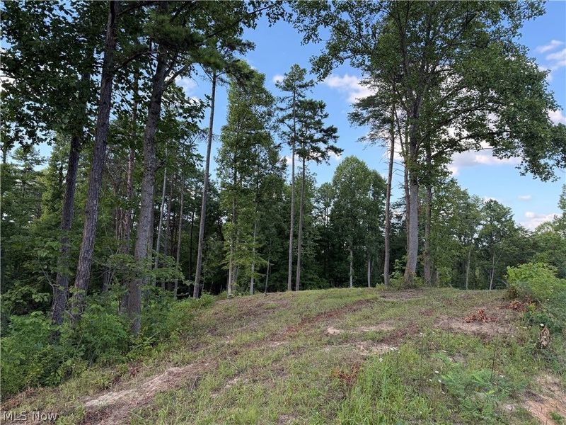 0 Fisher Ridge Rd, Tract 1 Road, Fleming, OH 45729 Photo 2