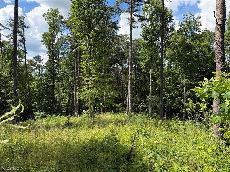 0 Fisher Ridge Rd, Tract 1 Road , Fleming, OH 45729 Photo 2