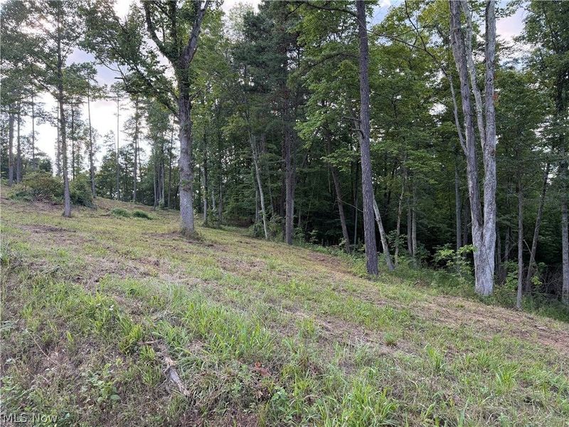 0 Fisher Ridge Rd, Tract 1 Road, Fleming, OH 45729 Photo 3