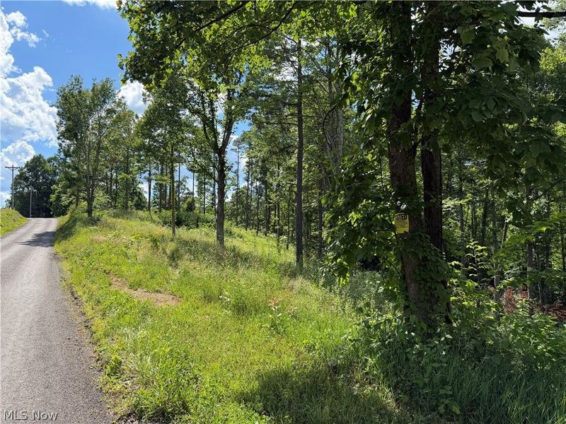 0 Fisher Ridge Rd, Tract 1 Road , Fleming, OH 45729 Photo 3