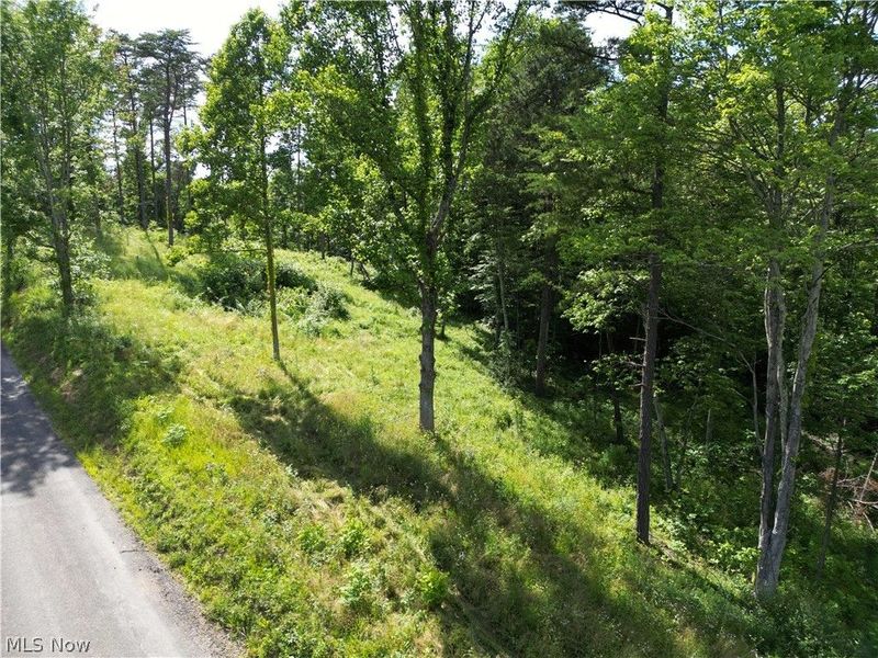 0 Fisher Ridge Rd, Tract 1 Road, Fleming, OH 45729 Photo 9
