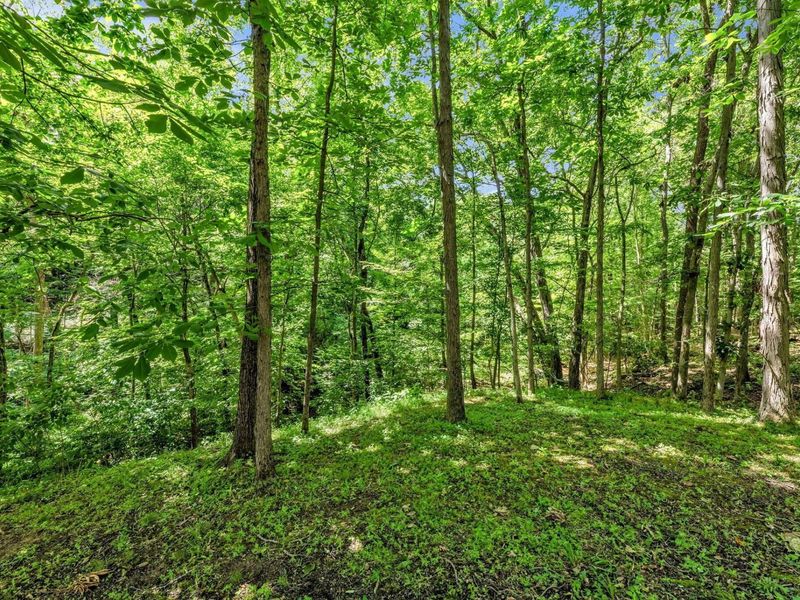 5394 Summerwood Crossing, Galena, OH 43021 Photo 100