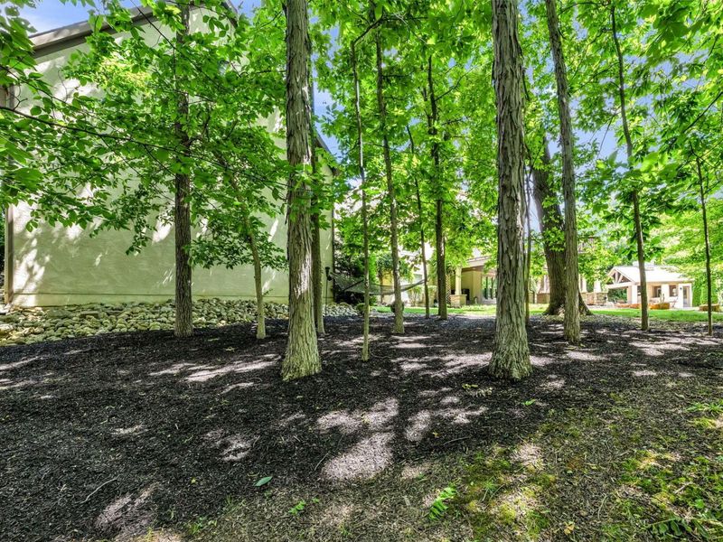 5394 Summerwood Crossing, Galena, OH 43021 Photo 101