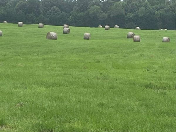 40 acres vacant land County Road 3411, Clarksville, AR 72830