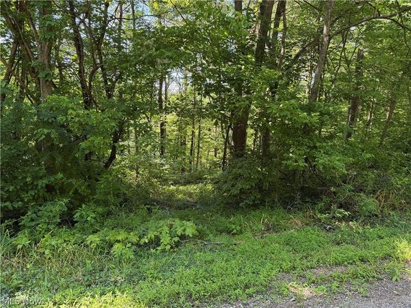 0 Fisher Ridge Rd, Tract 6 Road , Fleming, OH 45729