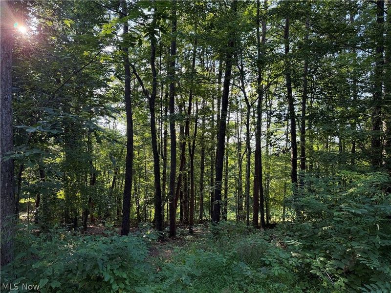 0 Fisher Ridge Rd, Tract 6 Road, Fleming, OH 45729 Photo 1