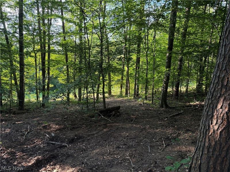 0 Fisher Ridge Rd, Tract 6 Road, Fleming, OH 45729 Photo 10