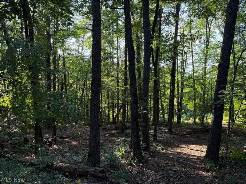 0 Fisher Ridge Rd, Tract 6 Road, Fleming, OH 45729 Photo 11