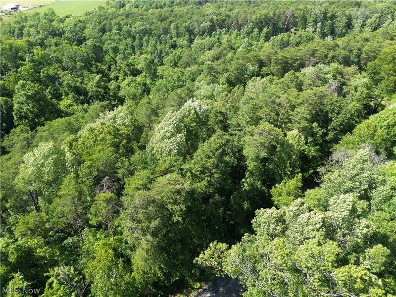 0 Fisher Ridge Rd, Tract 6 Road, Fleming, OH 45729 Photo 12