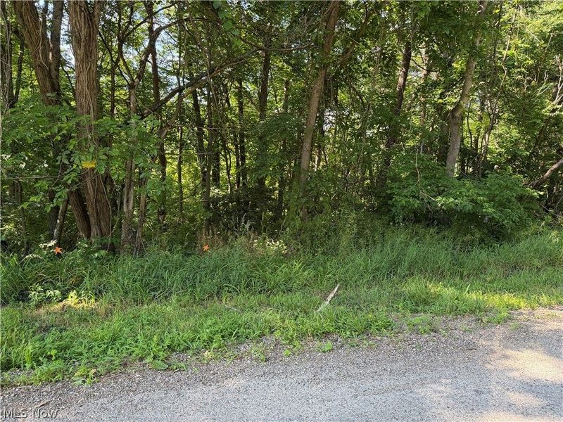 0 Fisher Ridge Rd, Tract 6 Road , Fleming, OH 45729 Photo 2