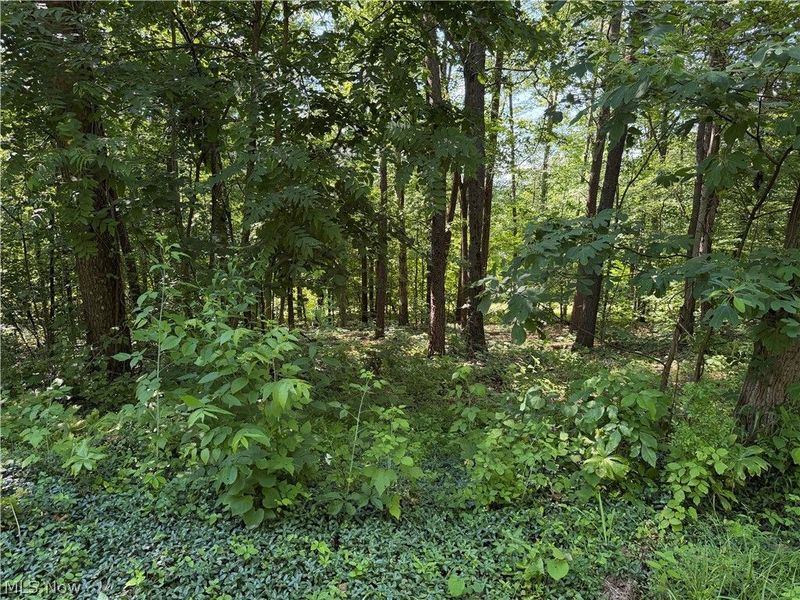0 Fisher Ridge Rd, Tract 6 Road, Fleming, OH 45729 Photo 2
