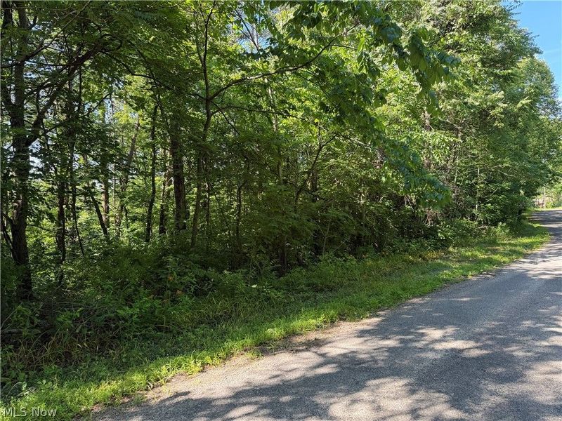 0 Fisher Ridge Rd, Tract 6 Road , Fleming, OH 45729 Photo 3