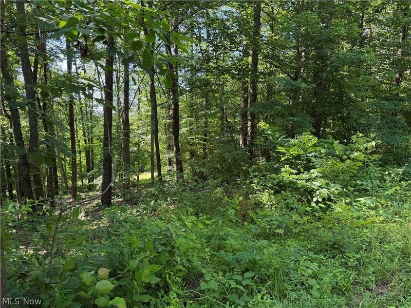 0 Fisher Ridge Rd, Tract 6 Road, Fleming, OH 45729 Photo 3