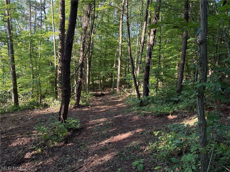 0 Fisher Ridge Rd, Tract 6 Road, Fleming, OH 45729 Photo 4