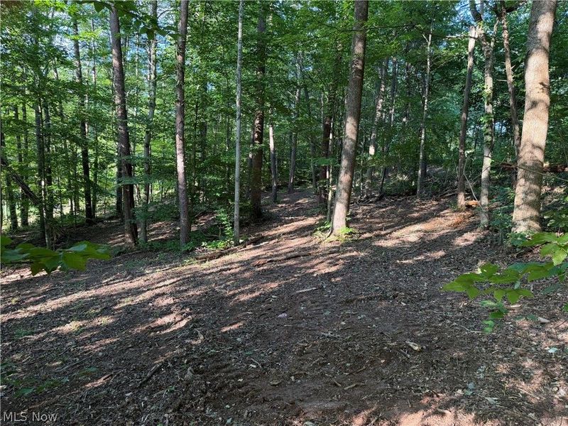 0 Fisher Ridge Rd, Tract 6 Road, Fleming, OH 45729 Photo 5
