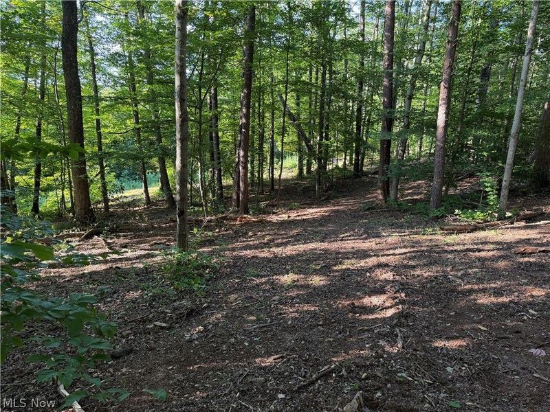 0 Fisher Ridge Rd, Tract 6 Road, Fleming, OH 45729 Photo 6