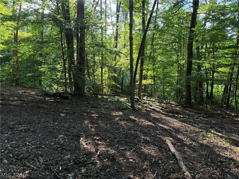 0 Fisher Ridge Rd, Tract 6 Road, Fleming, OH 45729 Photo 7